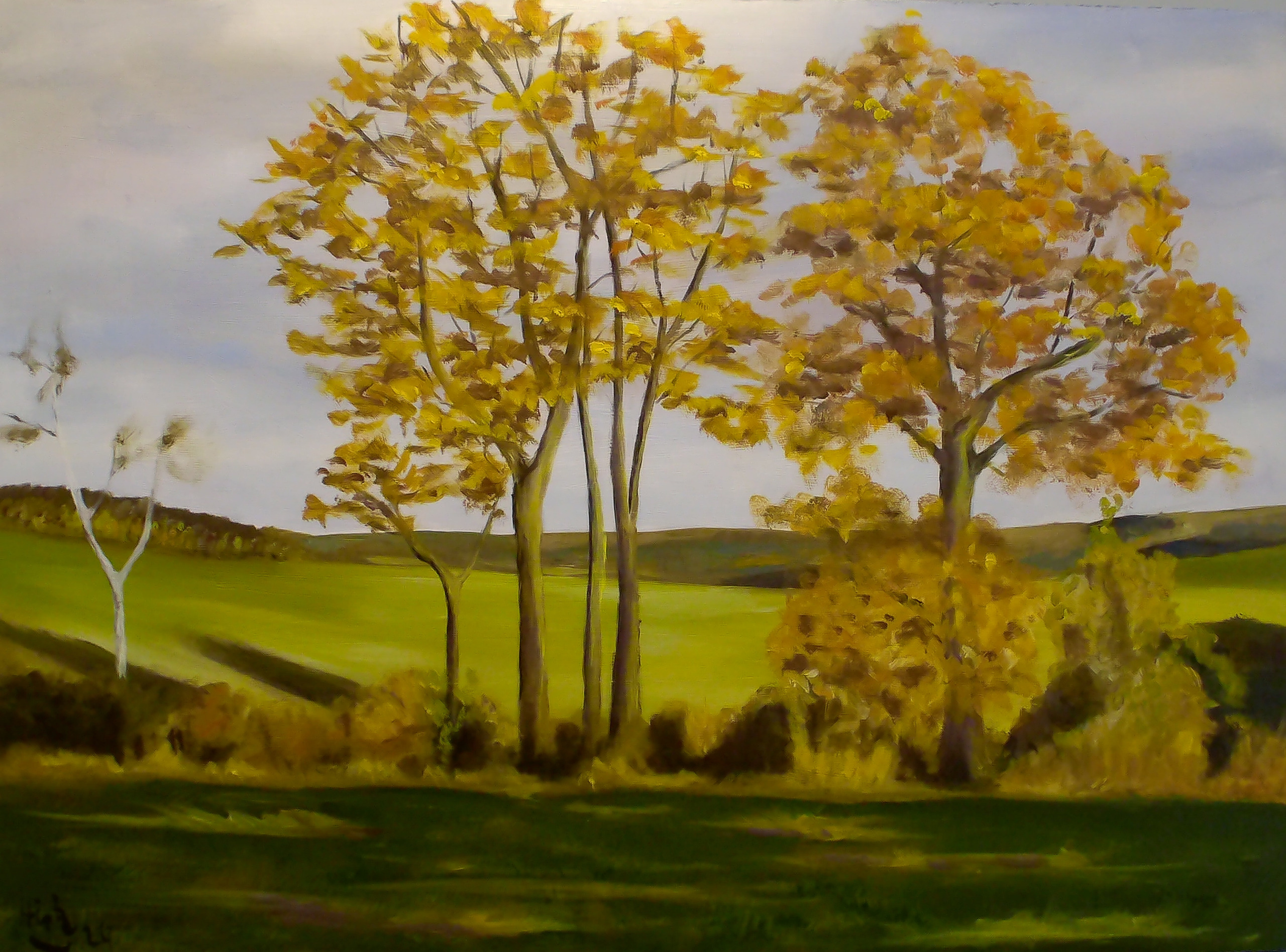 Herbstliche Eichen – Ölgemälde junger Eichen im goldenen Herbstlicht